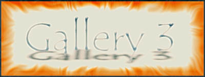 gallery 3