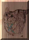 Cat_with_collar - burned.jpeg (5041 bytes)