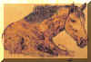 Foal laying down burned.jpg (12339 bytes)