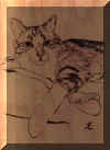 Gaisha_burned.jpeg (4713 bytes)