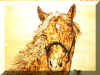 Horse head box.jpg (12159 bytes)