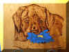 Lab_puppy_and_flower_burned.jpg (12593 bytes)