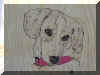 Toby.jpg (8452 bytes)