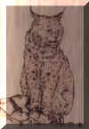bobcat burned.jpeg (4873 bytes)