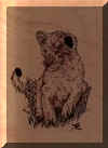 lion cub burned.jpeg (4437 bytes)