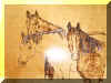 three horses burned.jpg (11173 bytes)