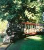 One of the miniature trains in Stanley Park.