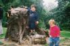 Redwood Park in Surrey, 25 August.  Belgian Canadian picnic. The magic tree-stump...