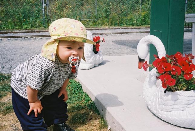 Squamish train museum.  Megan was interested in the 'ducks', and made kak-kak-kak-kak noises.