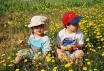 Saturday July 19.  Picking wildflowers at the UBC Farm market.