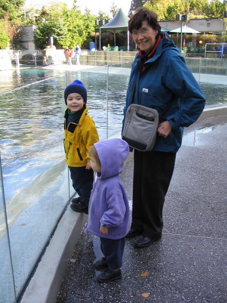 Tuesday Nov 11, Vancouver aquarium. Tim and Megan went to see the Beluga whales.