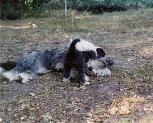 An excellent mother