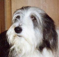 Jane a beutiful old lady