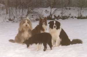 the whole gang in winter 2002