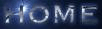 To Boas and Pythons Homepage