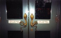 Snake-shaped HandlesThe Twin Swords