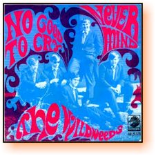 Dutch Import 45 sleeve