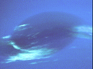 Neptune Spot
