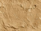 Mars Surface