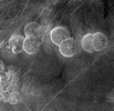 Close Up Look of Venus