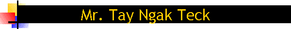 Mr. Tay Ngak Teck