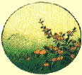 Janie LaBelle certified advanced medical qi gong and doula