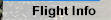 Flight Info
