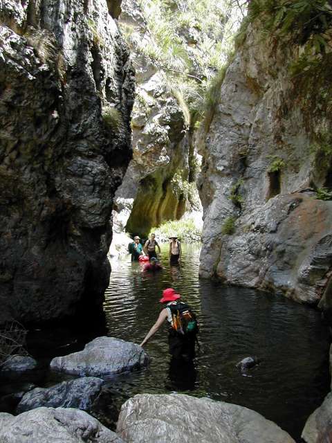 Northbrook Gorge