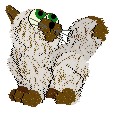  Birincorex 