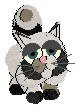  Bandit 
