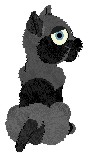  Coal