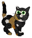  Leroy