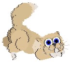  Pixie