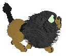  Scar