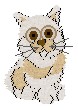  Speck
