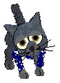  Taki
