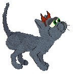  Whisple