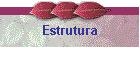 Estrutura