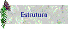 Estrutura