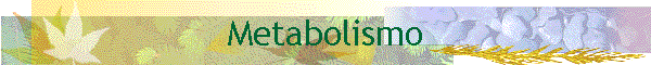 Metabolismo