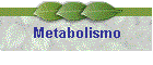 Metabolismo