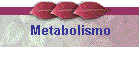 Metabolismo