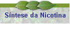 S�ntese da Nicotina