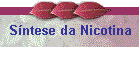 S�ntese da Nicotina
