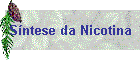 S�ntese da Nicotina