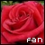 Roses Fan