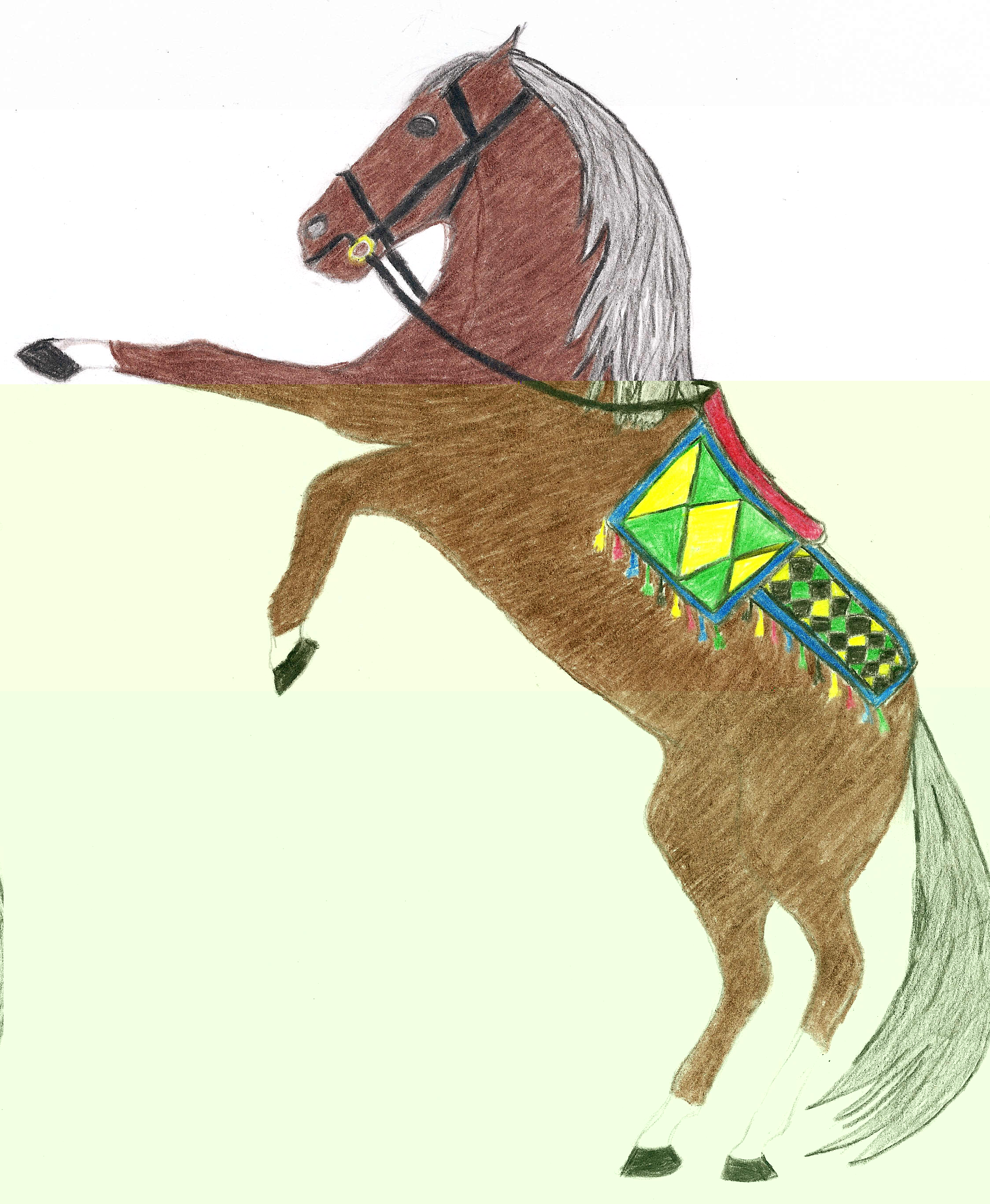 Danielle drew this
 horse!