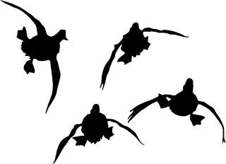 Quackers Guide Service