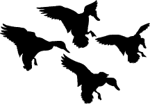 Quackers Guide Service