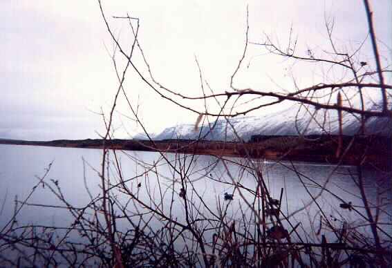 Lower Crab Creek